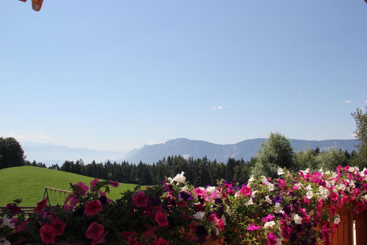 Gasthof St. Ulrich Meltina Exteriör bild